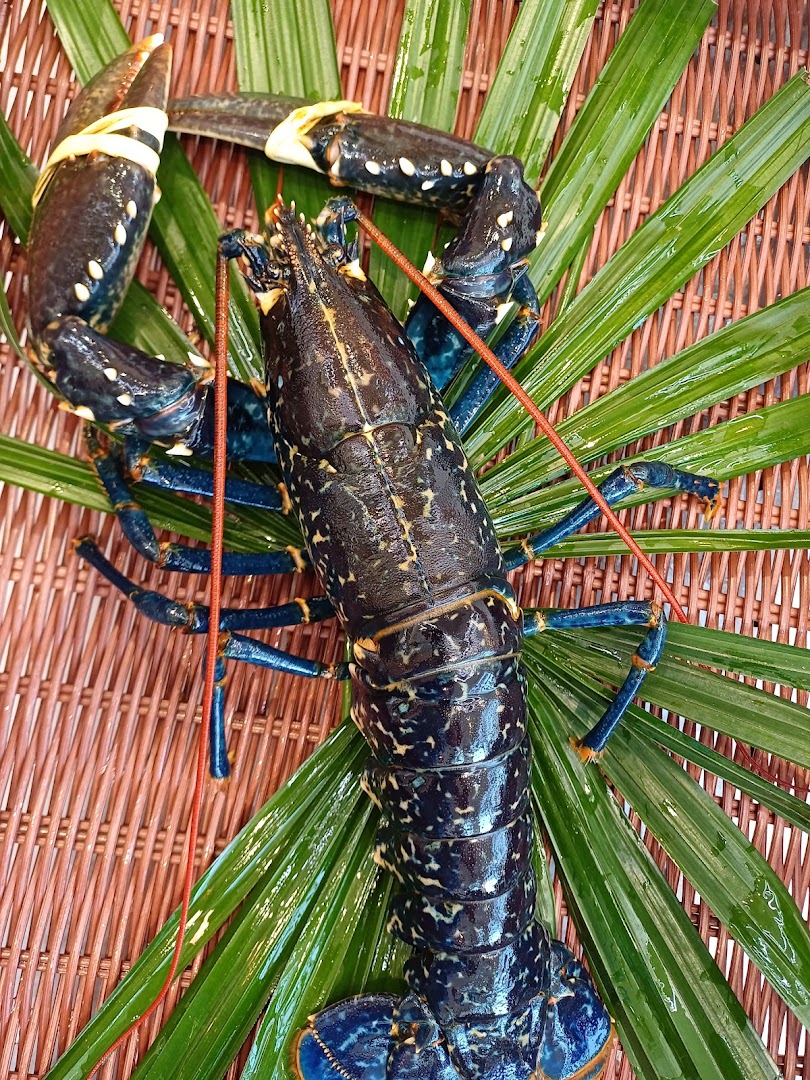 Le Loup Le Homard et la Crevette - Les Sorinières · Photos 6